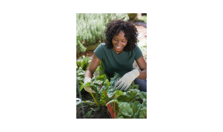 Gardening For Green: Selling Produce And Plants