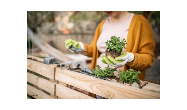 Gardening For Green: Selling Produce And Plants